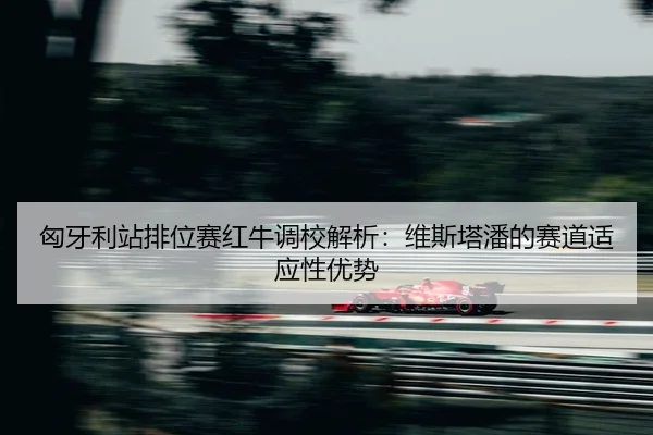 匈牙利站排位赛红牛调校解析：维斯塔潘的赛道适应性优势